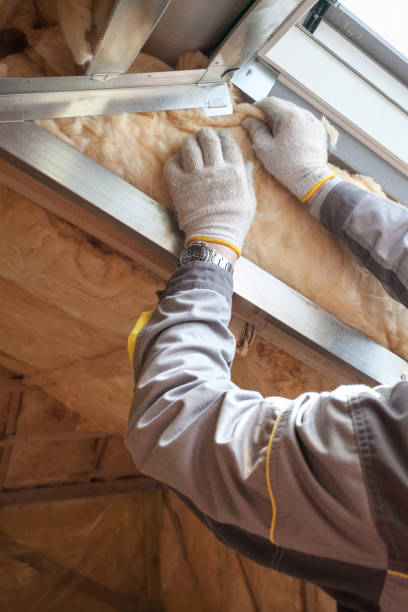Best Best Insulation Companies  in Laguna Niguel, CA