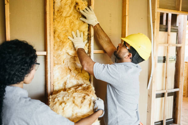 Best Insulation Contractor Near Me  in Laguna Niguel, CA