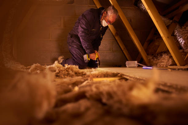 Best Attic Insulation Installation  in Laguna Niguel, CA